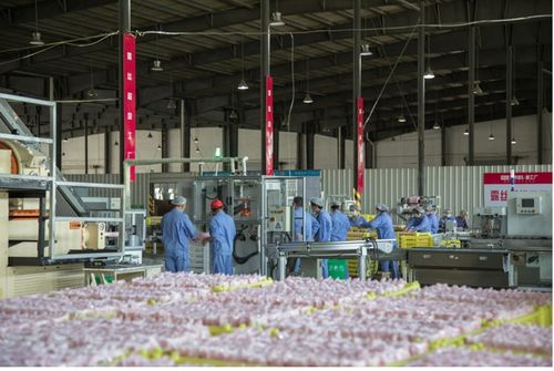 抖音電商 遇見(jiàn)好國(guó)貨 助力品牌煥新,傳統(tǒng)日化工廠在抖音商城完成轉(zhuǎn)型