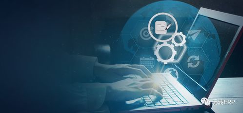 玩轉(zhuǎn)erp 如果要做一個開發(fā)顧問